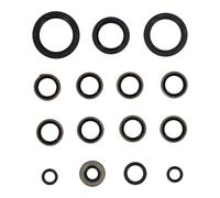 Kit guarnizioni albero primario cambio xl sportster Athena