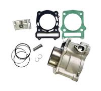 Kit Guarnizioni Anelli Pistone E Cilindro Compatibile Con Hisun HS550 550 Sector Strike Cub Cadet Tactics P0150001211A0000