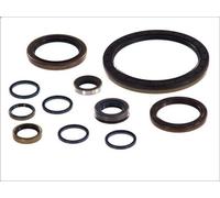 Kit guarnizioni cambio manuale EURORICAMBI 95534146