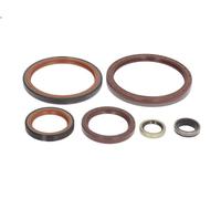 Kit guarnizioni cambio manuale ZF 1304.298.908
