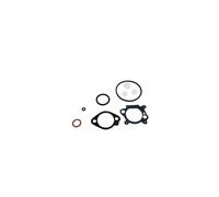 Kit guarnizioni carburatore compatibile motore BRIGGS&STRATTON 9 10 hp verticale
