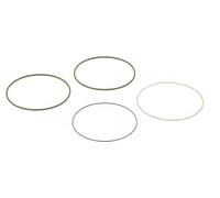 Elring Set di guarnizioni per canna del cilindro 827.568