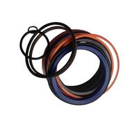 Kit guarnizioni cilindro di sollevamento principale 503795-010 compatibile con sollevatore verticale a forbice MX19