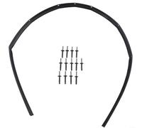 Kit guarnizioni cofano anteriore per Dodge per Challenger 2008-2022 con rivetti in plastica compatibile con guarnizione paraurti fascia Oe 68051392ab 68051392aa striscia di gomma