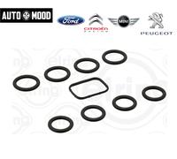 Kit Guarnizioni Collettore Aspirazione Citroen Peugeot Ford Mini 1.6 HDi TDCi