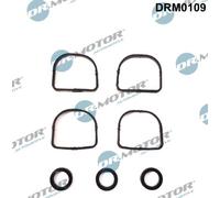 Kit guarnizioni, Collettore aspirazione per BMW 1 3 5 X1 X3 Z4