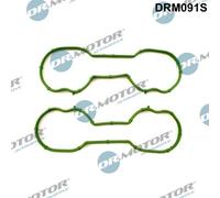 Kit guarnizioni, Collettore aspirazione per FORD FIESTA FOCUS PUMA