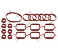 Kit guarnizioni collettore di aspirazione 123-02-007 ABAKUS per BMW 7 5 X3 X5 3