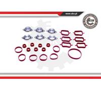 Kit guarnizioni collettore di aspirazione 96SKV045 ESEN SKV per BMW 3 1