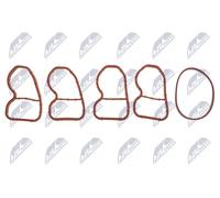 Kit guarnizioni collettore di aspirazione BKS-BM-028A NTY