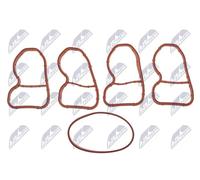 Kit guarnizioni collettore di aspirazione BKS-BM-029A NTY