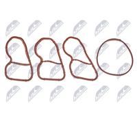 Kit guarnizioni collettore di aspirazione BKS-BM-041A NTY