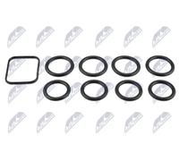 Kit guarnizioni collettore di aspirazione BKS-CT-003 NTY