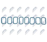 NTY Kit guarnizioni, Collettore aspirazione compatibile con CITROËN FORD