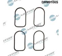 Kit guarnizioni collettore di aspirazione DRM0106S Dr.Motor Automotive