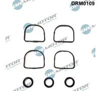 Kit guarnizioni collettore di aspirazione DRM0109 Dr.Motor Automotive per BMW 3