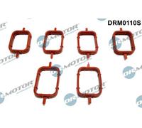 Kit guarnizioni collettore di aspirazione DRM0110S Dr.Motor Automotive