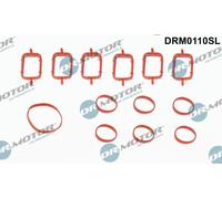 DR.MOTOR AUTOMOTIVE Kit guarnizioni, Collettore