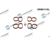Kit guarnizioni collettore di aspirazione DRM0111SL Dr.Motor Automotive per BMW