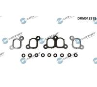 Kit guarnizioni collettore di aspirazione DRM01291S Dr.Motor Automotive per VW