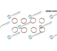 Kit guarnizioni collettore di aspirazione DRM01323S Dr.Motor Automotive