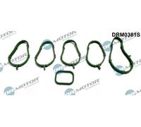 Kit guarnizioni collettore di aspirazione DRM0381S Dr.Motor Automotive per FIAT