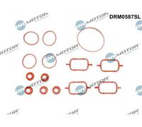 DR.MOTOR AUTOMOTIVE DRM0587SL Kit guarnizioni, Collettore aspirazione