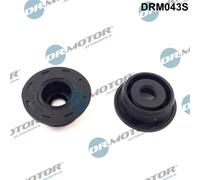 Kit guarnizioni, Copritestata per CITROËN FORD PEUGEOT BOXER JUMPER TRANSIT