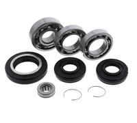 KIT GUARNIZIONI CUSCINETTO DIFF ANTERIORE HONDA TRX300FW FOURTRAX BIG RED...