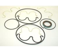 KIT GUARNIZIONI DUO DAVID BROWN PAJ22/19 K0022501041