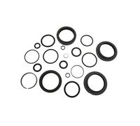 Kit guarnizioni forcella Rockshox Basic Recon Rl B1 Non Boost Gris