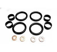 Kit guarnizioni iniettore DRM016S Dr.Motor Automotive per FORD CITROËN MAZDA