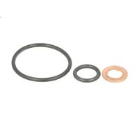 Kit guarnizioni, Iniettore LEMA 28070.50 per SCANIA P I 9.291 2004-2019