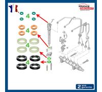 Kit Guarnizioni Iniettore per Scudo C-Max Fiesta 5 6 Focus 1.6 D TDCI - 1982A0