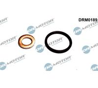Kit guarnizioni, Iniettore per VOLVO C30 C70 S40 S60 S80 V40 V50 V60 V70 XC60 XC