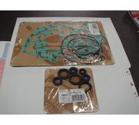 kit guarnizioni + kit paraoli motore completi Rotax 122 Aprilia 125 RS RX SX MX