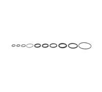 Leonardi Racing Ocho Lefty Service Kit Multicolor Blue / Silver