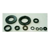 Kit Guarnizioni Olio Motore Tourmax-Xt / sr500 76-95 per Moto