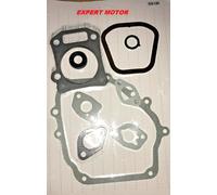 KIT GUARNIZIONI + PARAOLI PER MOTORE HONDA GX 120 NUOVO MOTOCOLTIVATORE ECC...