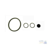 KIT GUARNIZIONI PER POMPA 089766 SET GUARNIZIONI RICAM.