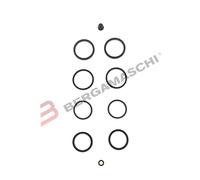 KIT GUARNIZIONI PINZA GRIMECA DA 30/35 MM ARIETE 12889-PI BETA EURO/JONATHAN