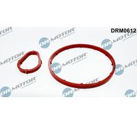 Kit guarnizioni, Pompa a depressione per CITROËN FORD MAZDA PEUGEOT 1007 2 206 2