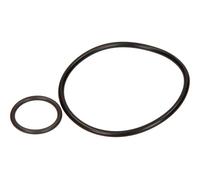 Kit guarnizioni pompa a vuoto 459936 PSA per VOLVO CITROËN FIAT FORD LANCIA
