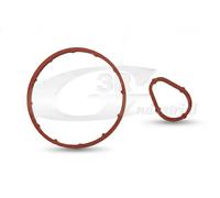 Kit guarnizioni pompa a vuoto 74208 3RG per FORD PEUGEOT CITROËN MAZDA