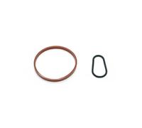 Kit guarnizioni pompa a vuoto DRM01169 Dr.Motor Automotive per FORD CITROËN DS