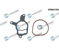 Kit guarnizioni pompa a vuoto DRM01309 Dr.Motor Automotive per AUDI VW CUPRA
