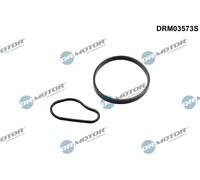 Kit guarnizioni pompa a vuoto DRM03573S Dr.Motor Automotive