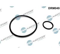 Kit guarnizioni pompa a vuoto DRM049 Dr.Motor Automotive per FORD VOLVO PEUGEOT