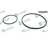 DR.MOTOR AUTOMOTIVE Kit guarnizioni Pompa a depressione DRM0560S