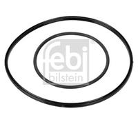 Kit guarnizioni pompa a vuoto FKM (fluorocarburi-caucciù) 174463 FEBI BILSTEIN